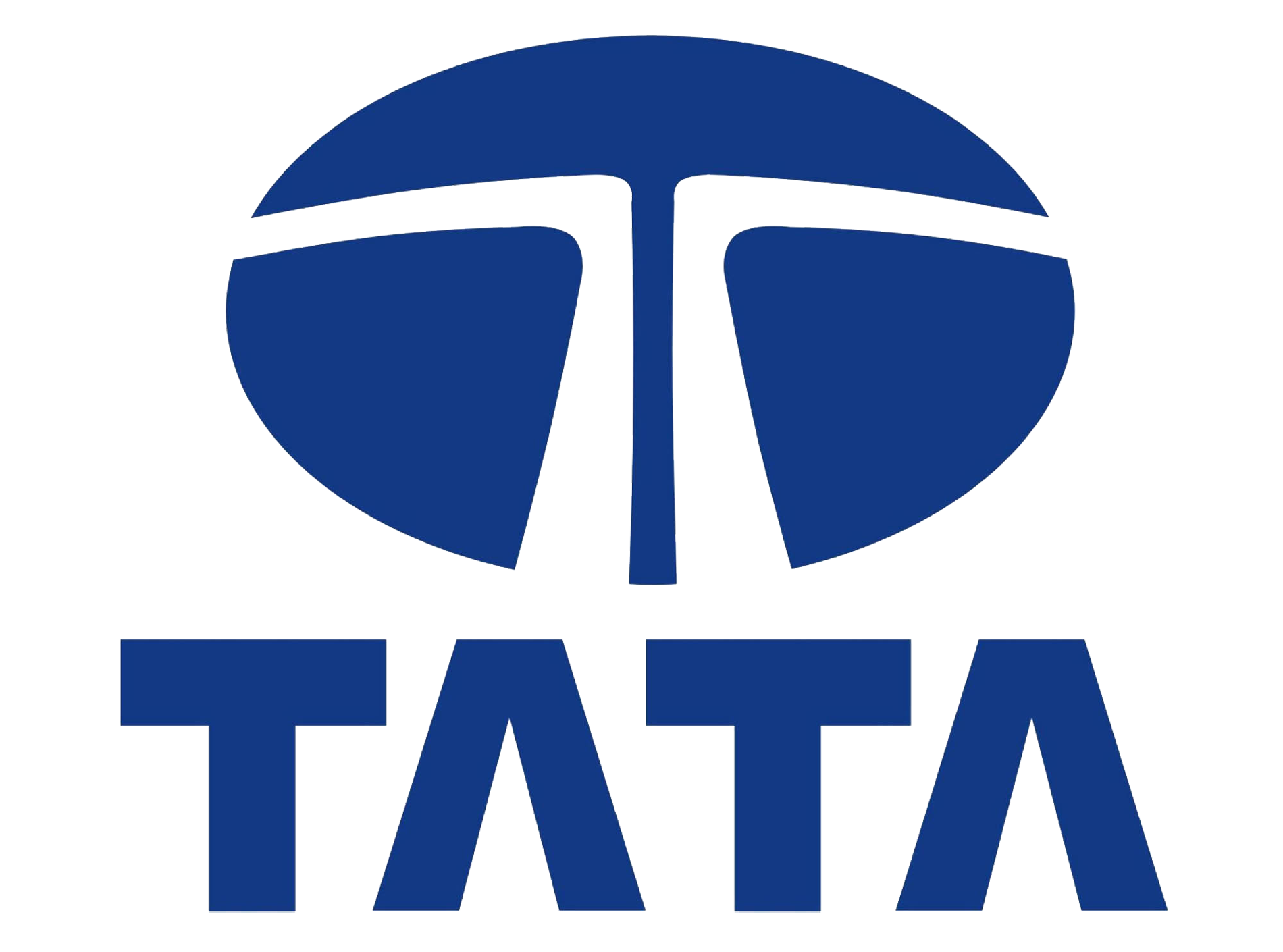 The Tata group